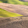 Oltre i confini - Crete senesi