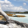 L'ultima spiaggia