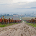 Montefalco Il Viale in una giornata d'autunno 