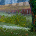Montefalco L'Alba d'Autunno 